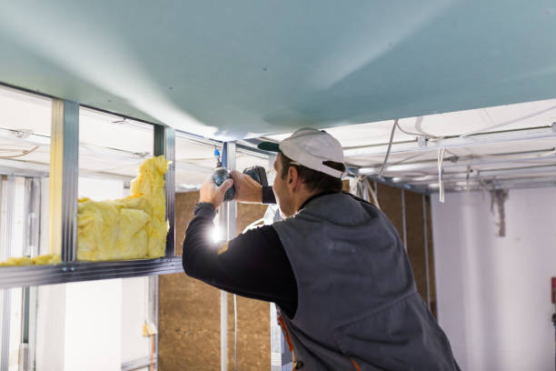 Types of Insulation We Offer in Castle Dale, UT