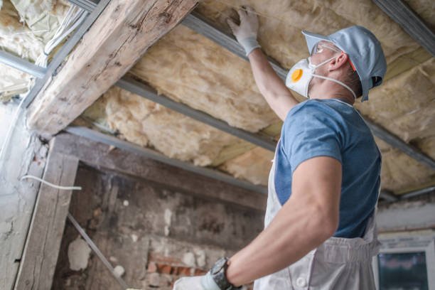 Trusted Castle Dale, UT Insulation Contractor Experts