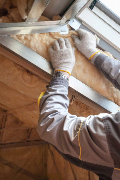 Best Cellulose Insulation in Castle Dale, UT